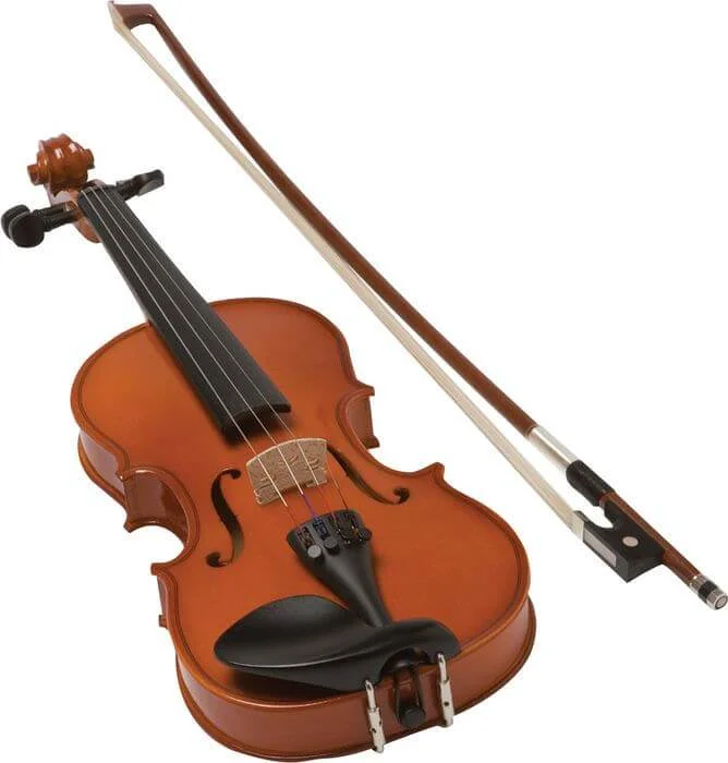 Violin Live Music